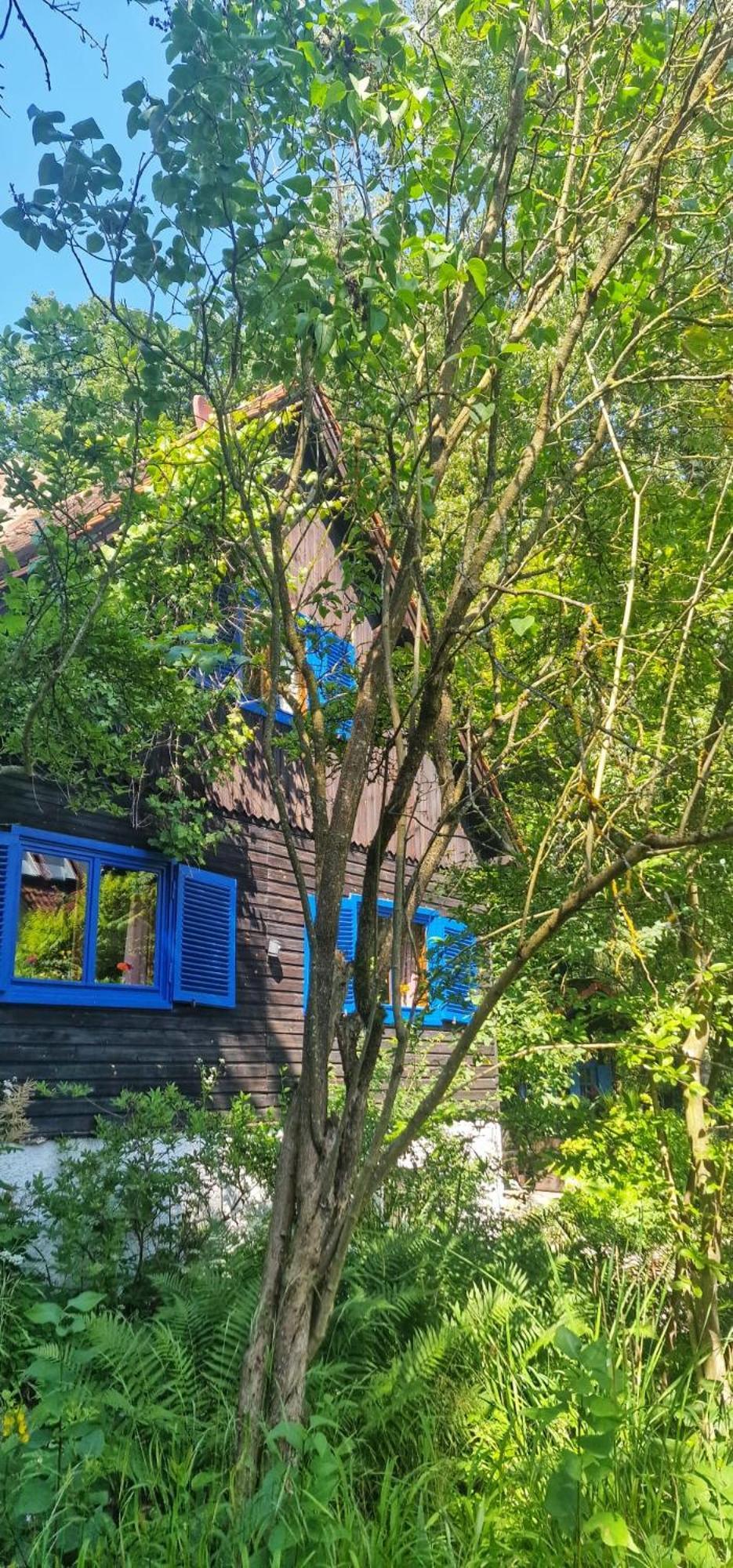 Forsthaus Sommerleite Kammerstein Eksteriør billede